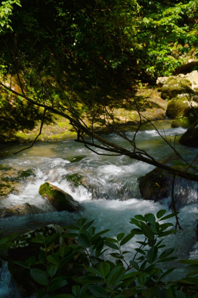 Фотография автора Ольга Шевцова