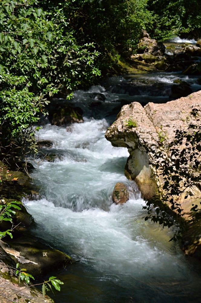 Фотография автора Ольга Шевцова