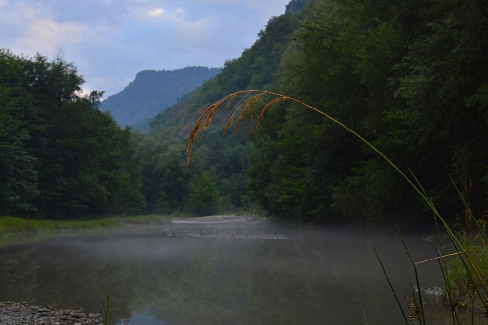 Фотография автора Ольга Шевцова