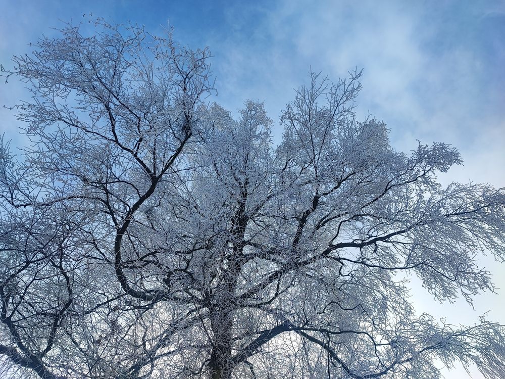 Photo #13285003