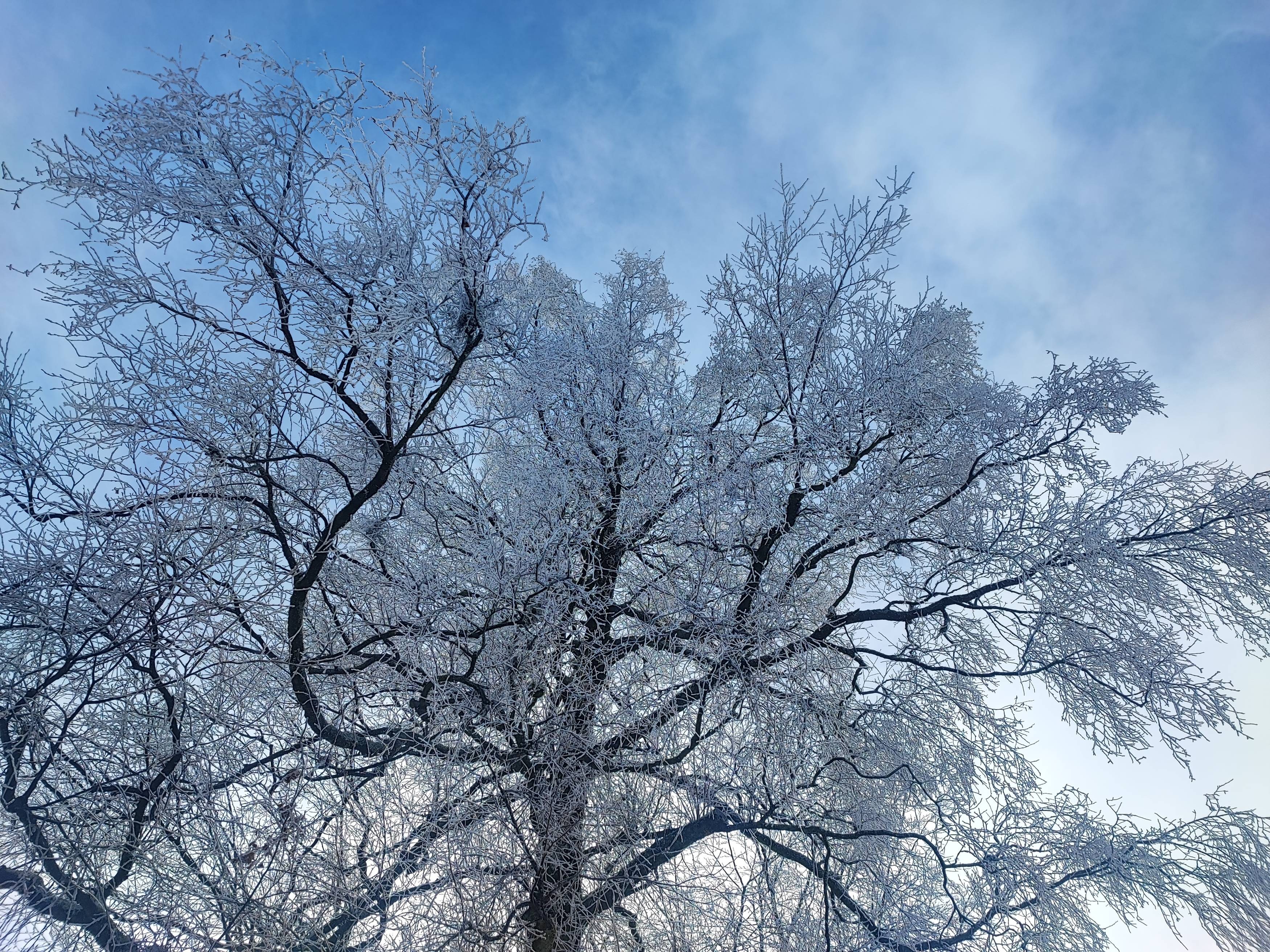 Photo #13285003