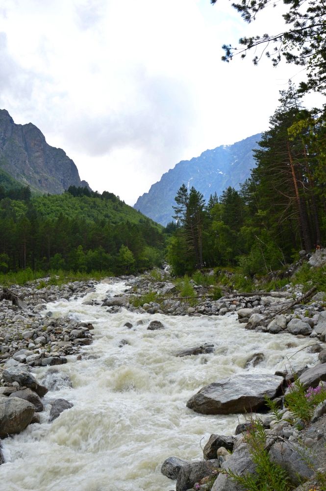 Фотография автора Ольга Шевцова