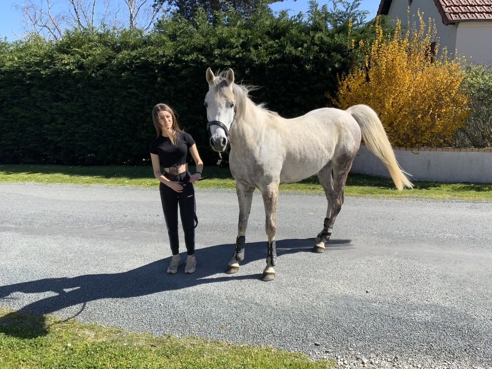 Photograph by Irina Chernova ap. Rouquette