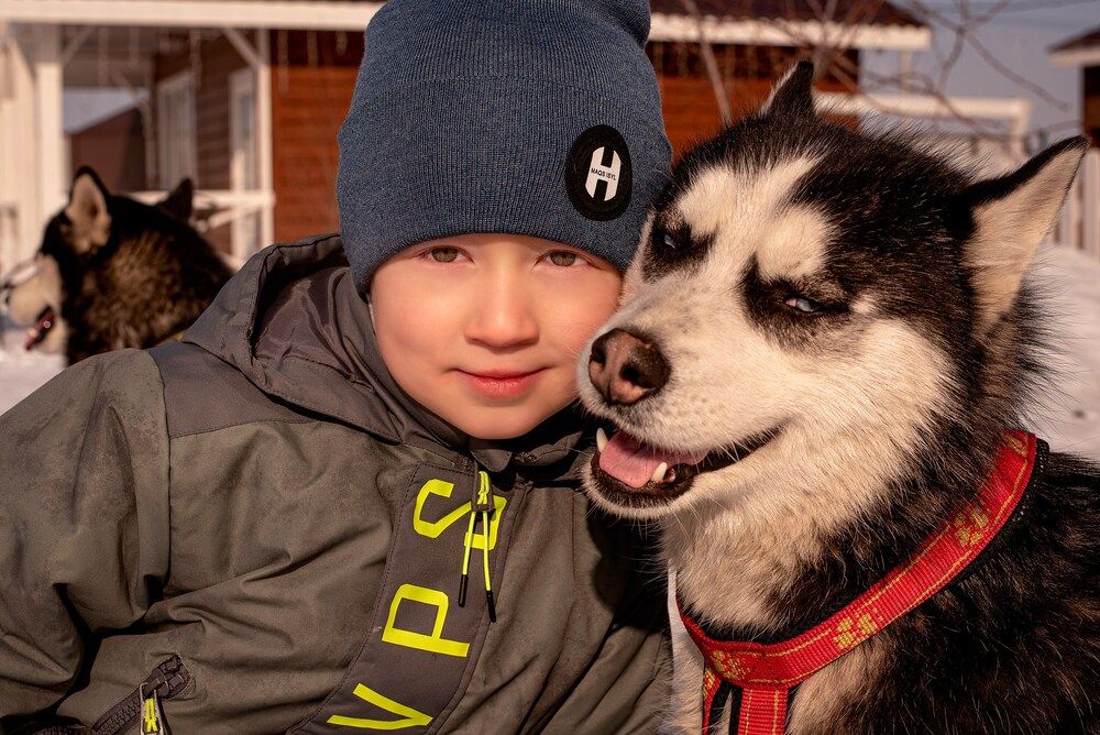Фотография автора Алена Приподаева