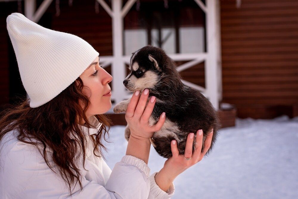 Фотография автора Алена Приподаева