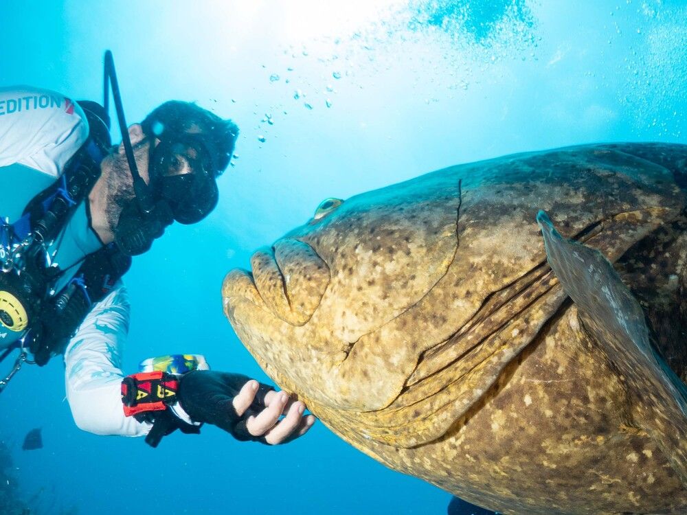 Photograph by Diogo Benchimol