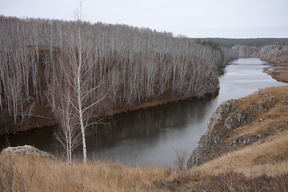 Photo #13285201