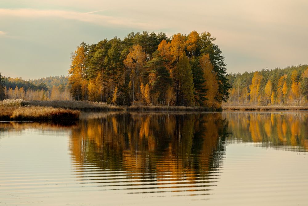 Photograph by Алексей Федотов