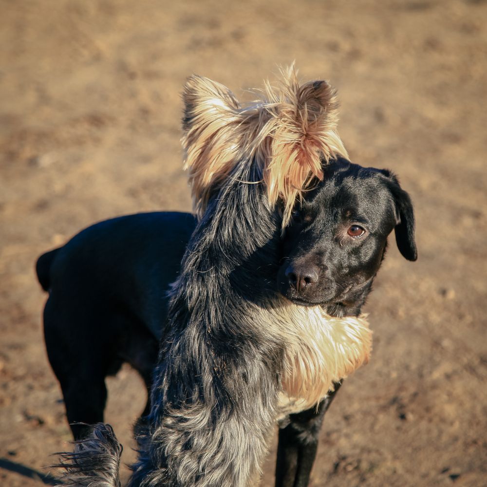 Photograph by G Shish