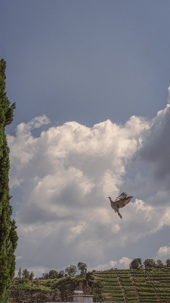 Photograph by Iryna Usanova