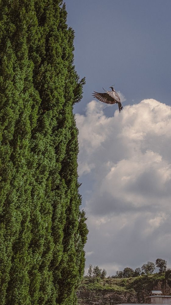 Photograph by Iryna Usanova