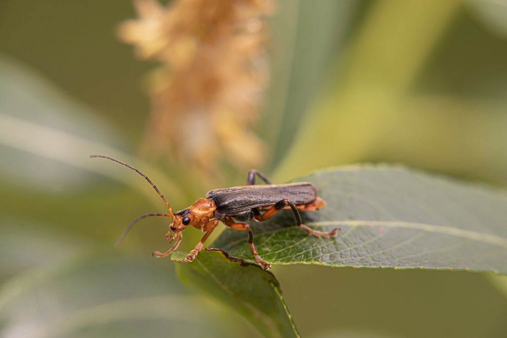 Photograph by Бурикова Екатерина