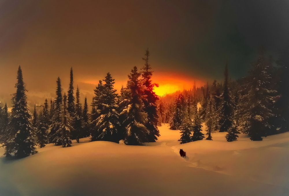 Photograph by Николай Рубцов