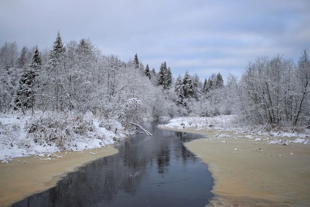 Фотография автора Андрей Шестаков