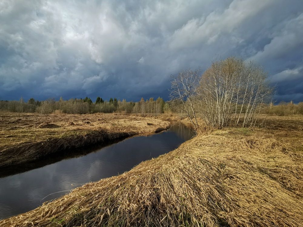 Фотография автора Андрей Шестаков