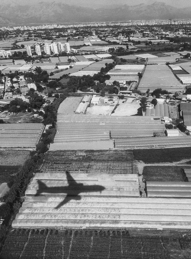 Photograph by Ольга Денисова