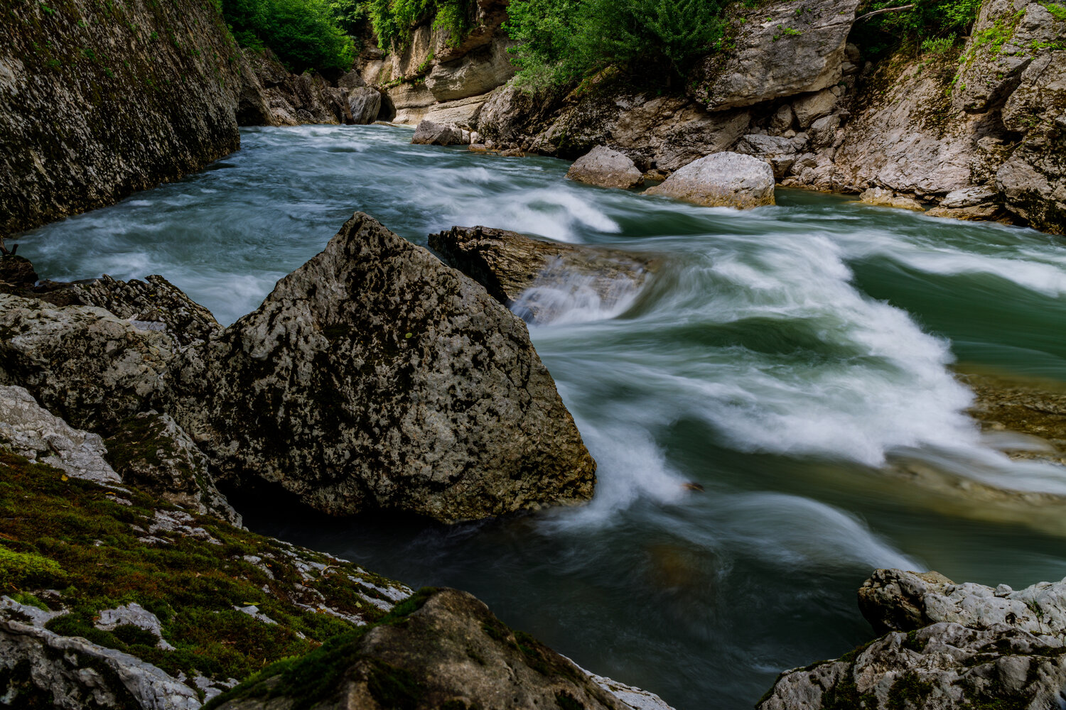 Photo #13285323