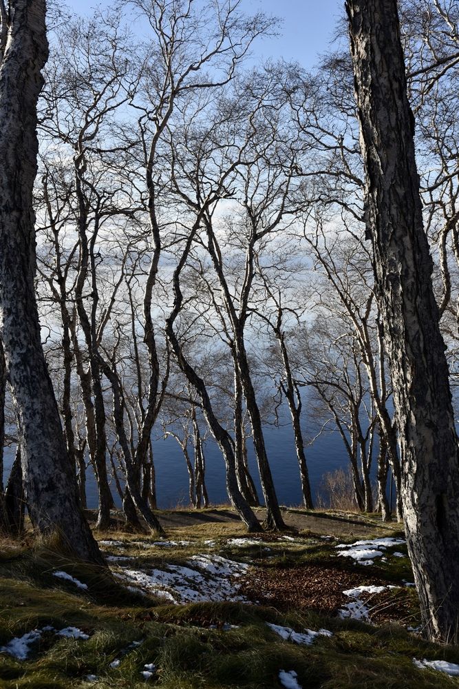 Photograph by Ольга Струкалина