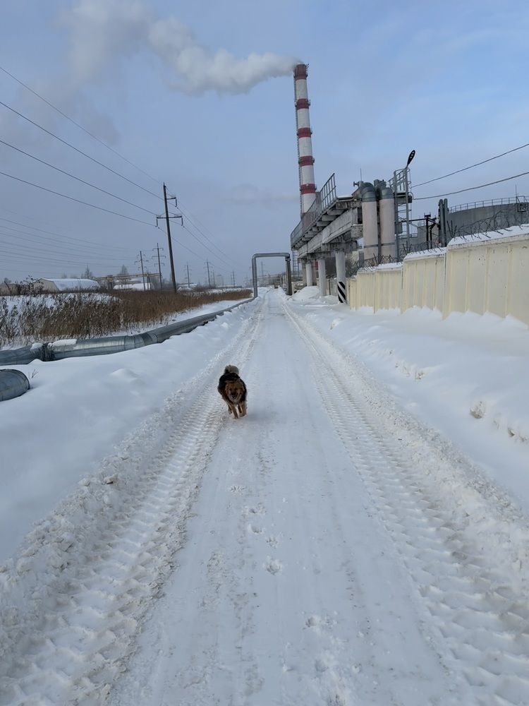 Фотография автора Catherine Shashkova