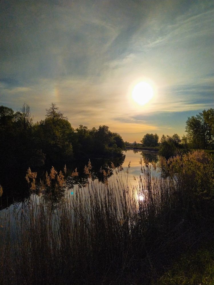 Photograph by Юлия Волгина