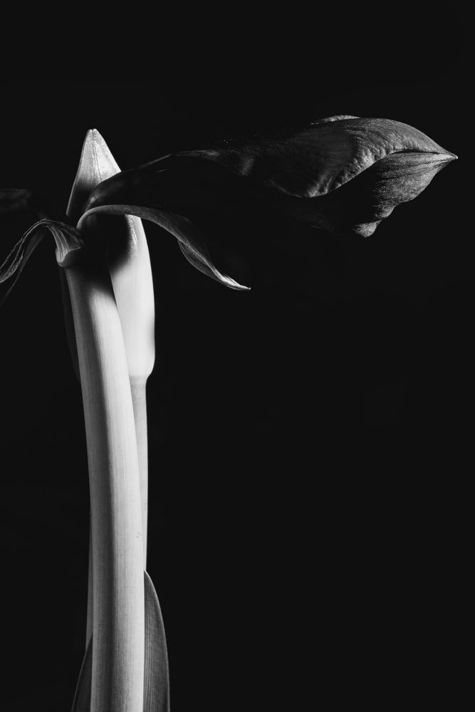 Фотография автора Bogdan Tarasov