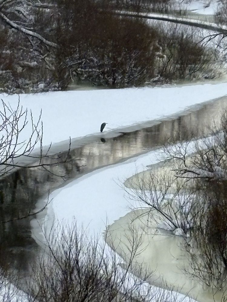 Фотография автора Catherine Shashkova