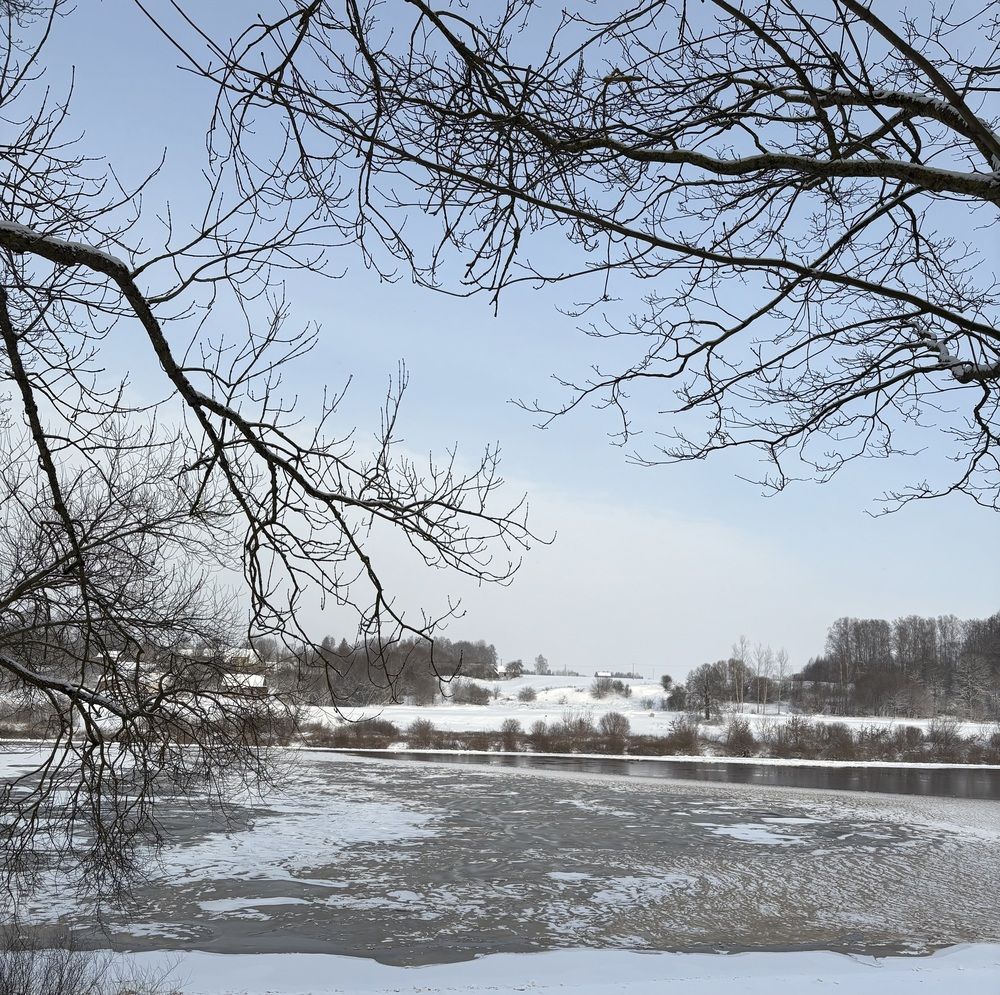 Фотография автора Catherine Shashkova