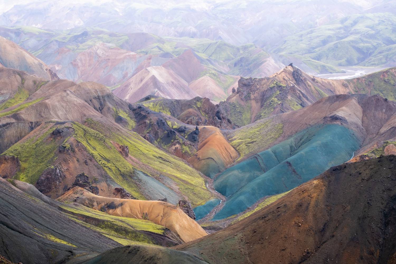 Фотография #13285562