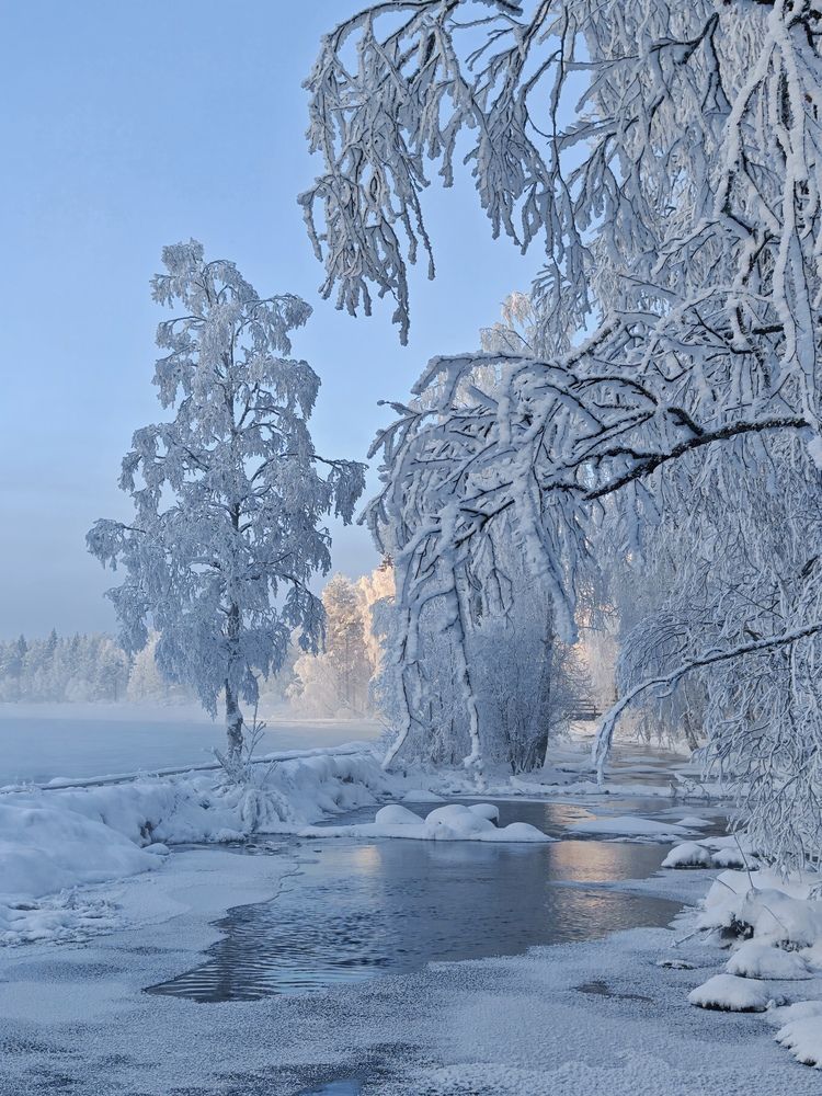 Photograph by OLga Piirainen