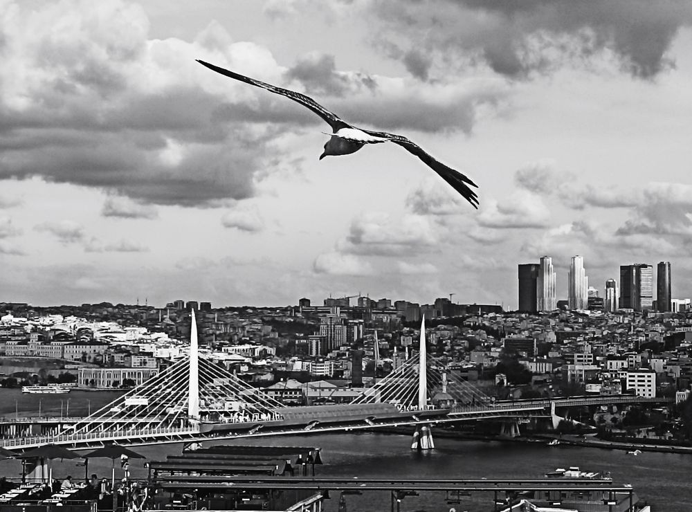 Photograph by Альфия Агзами