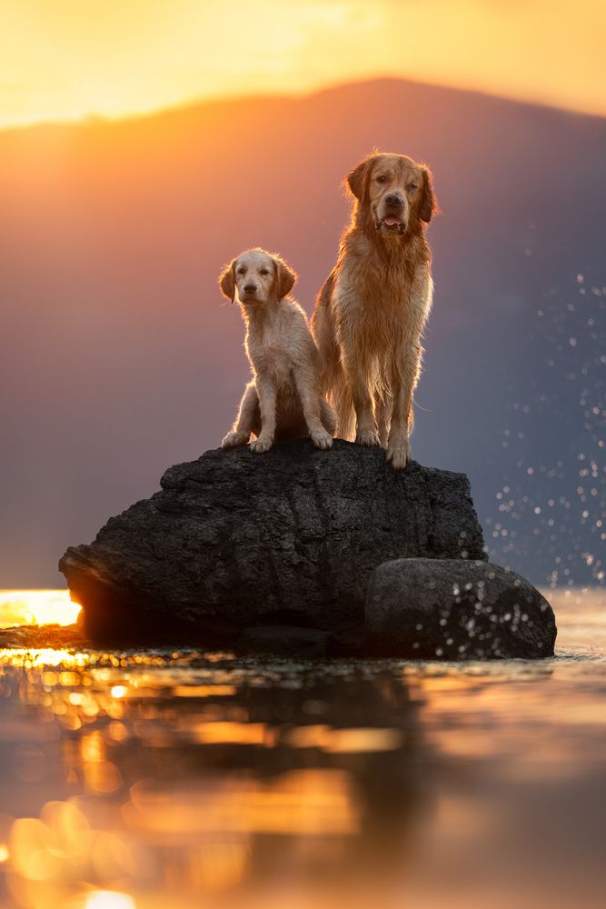 Photograph by Alessia Monaco