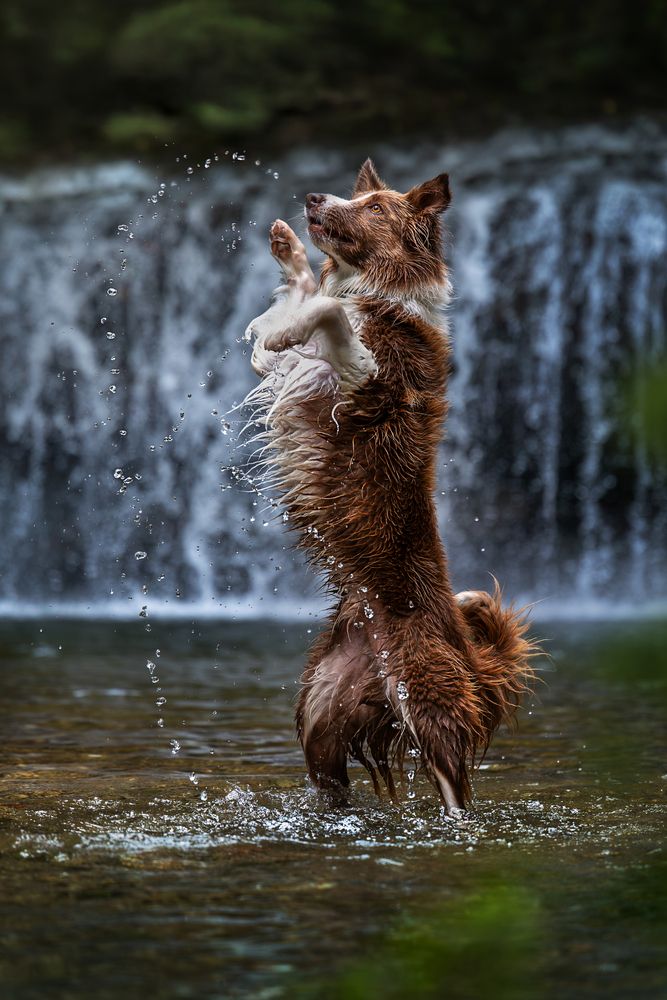 Photograph by Alessia Monaco