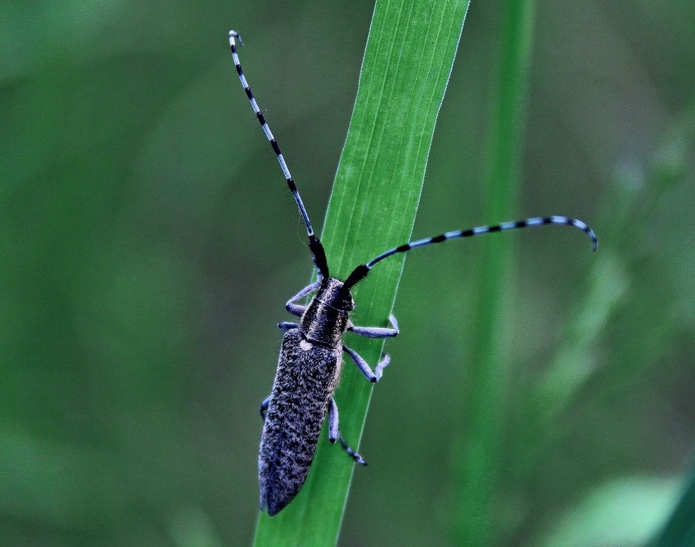 Photograph by Юлия Иванова