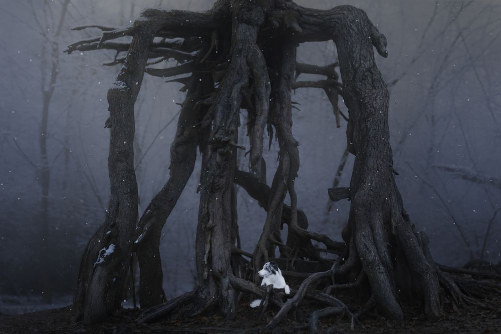 Photograph by Anna Sychowicz