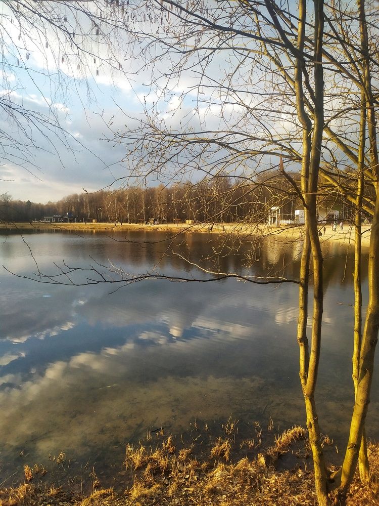 Photograph by Любовь Сухова