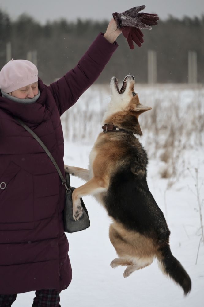 Photograph by Наташа Данилова