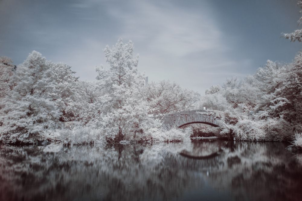 Photograph by Austin Bueno