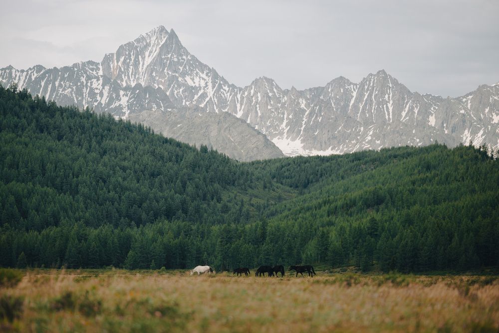 Photograph by Дмитрий Рындин