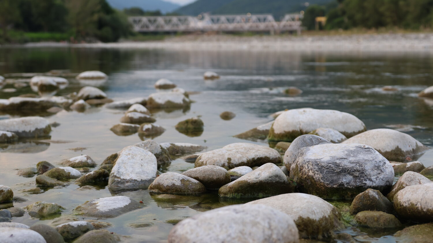 Photo #13285771