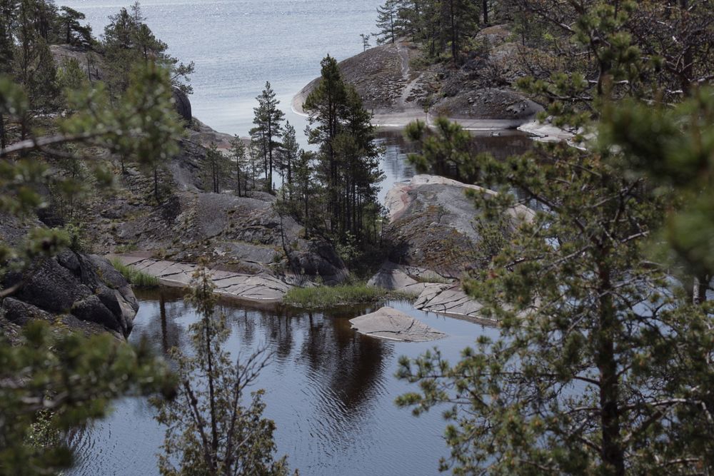 Photograph by Оксана Серёгина