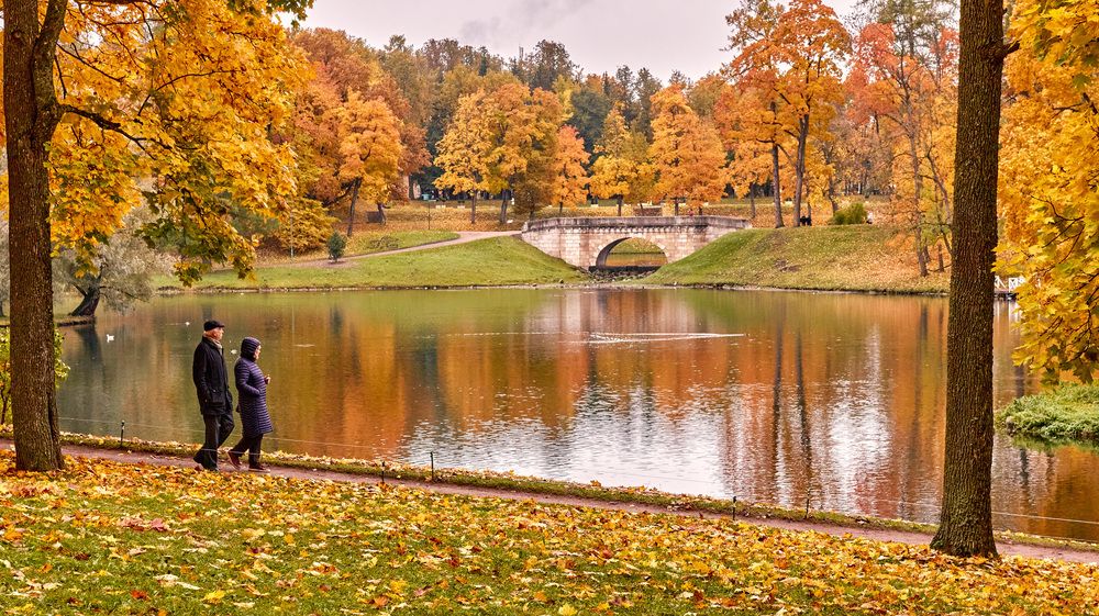 Карпин мост...
