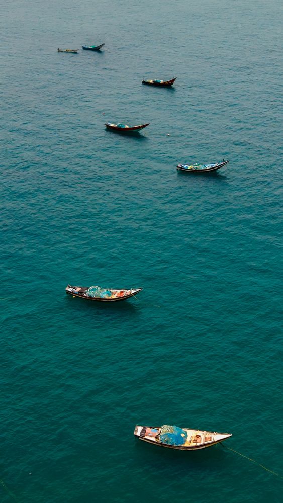 Photograph by Sai Rishik Reddy