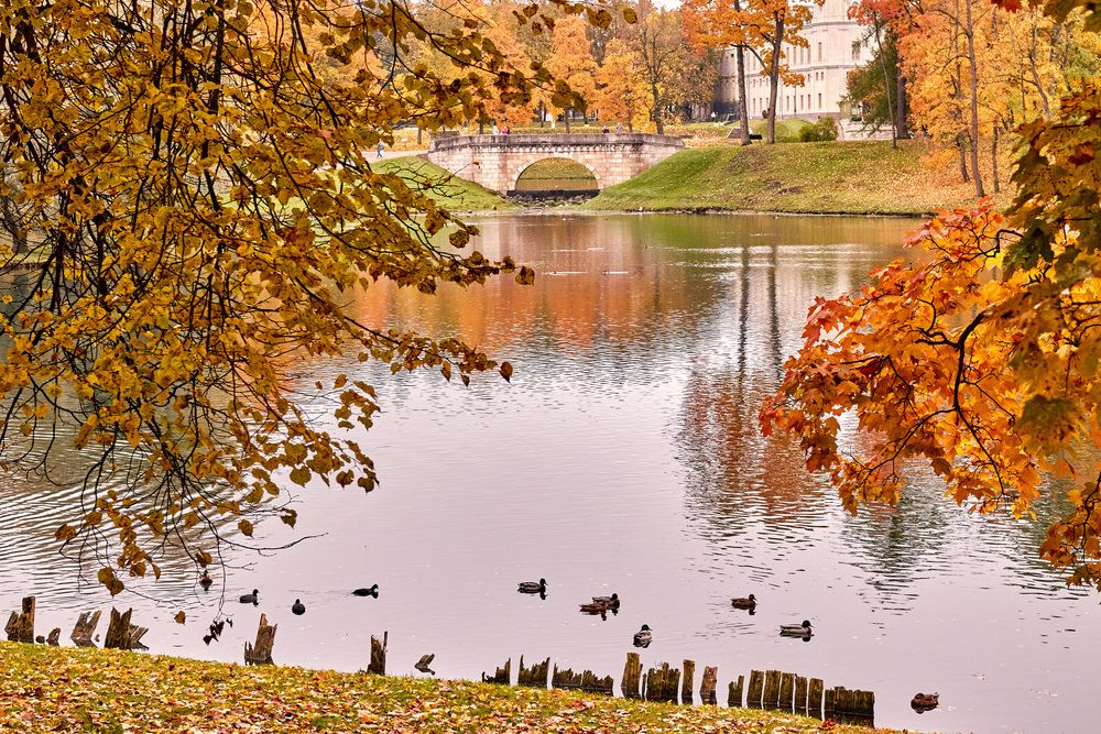 Photograph by Петрушин Сергей