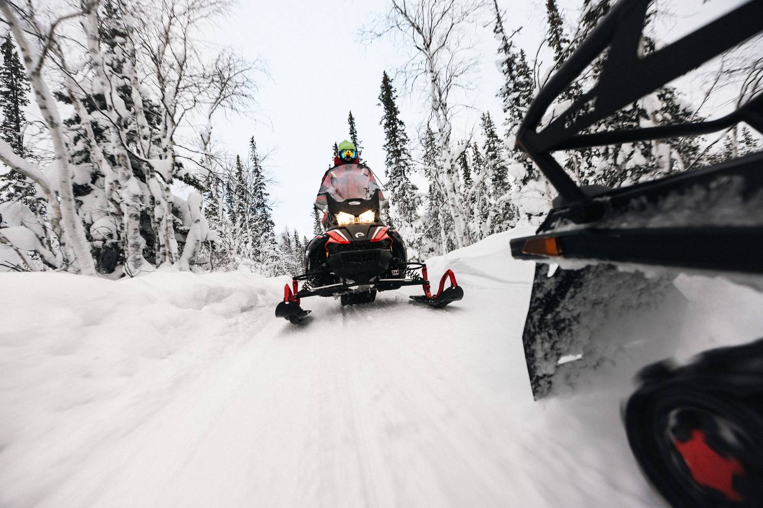 Фотография #13285842