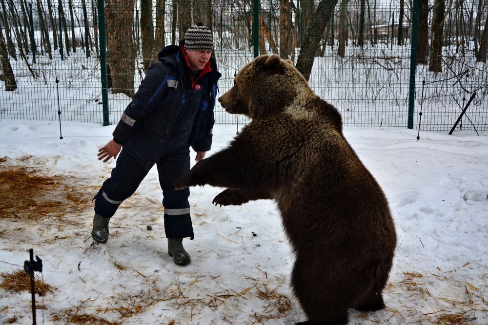 Photograph by DMITRIY DULIN