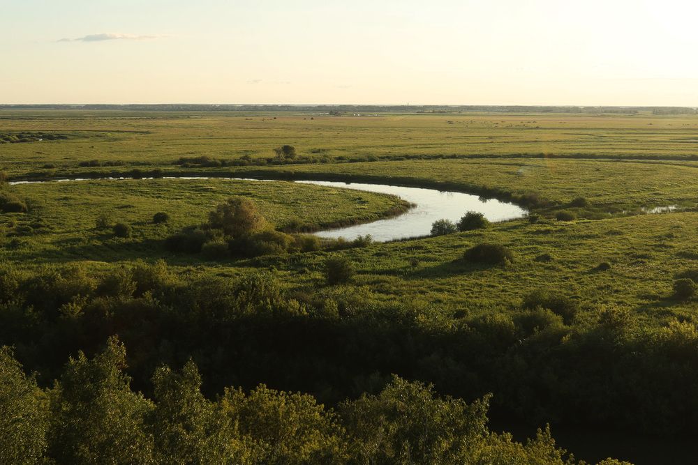 Фотография автора KattyFox