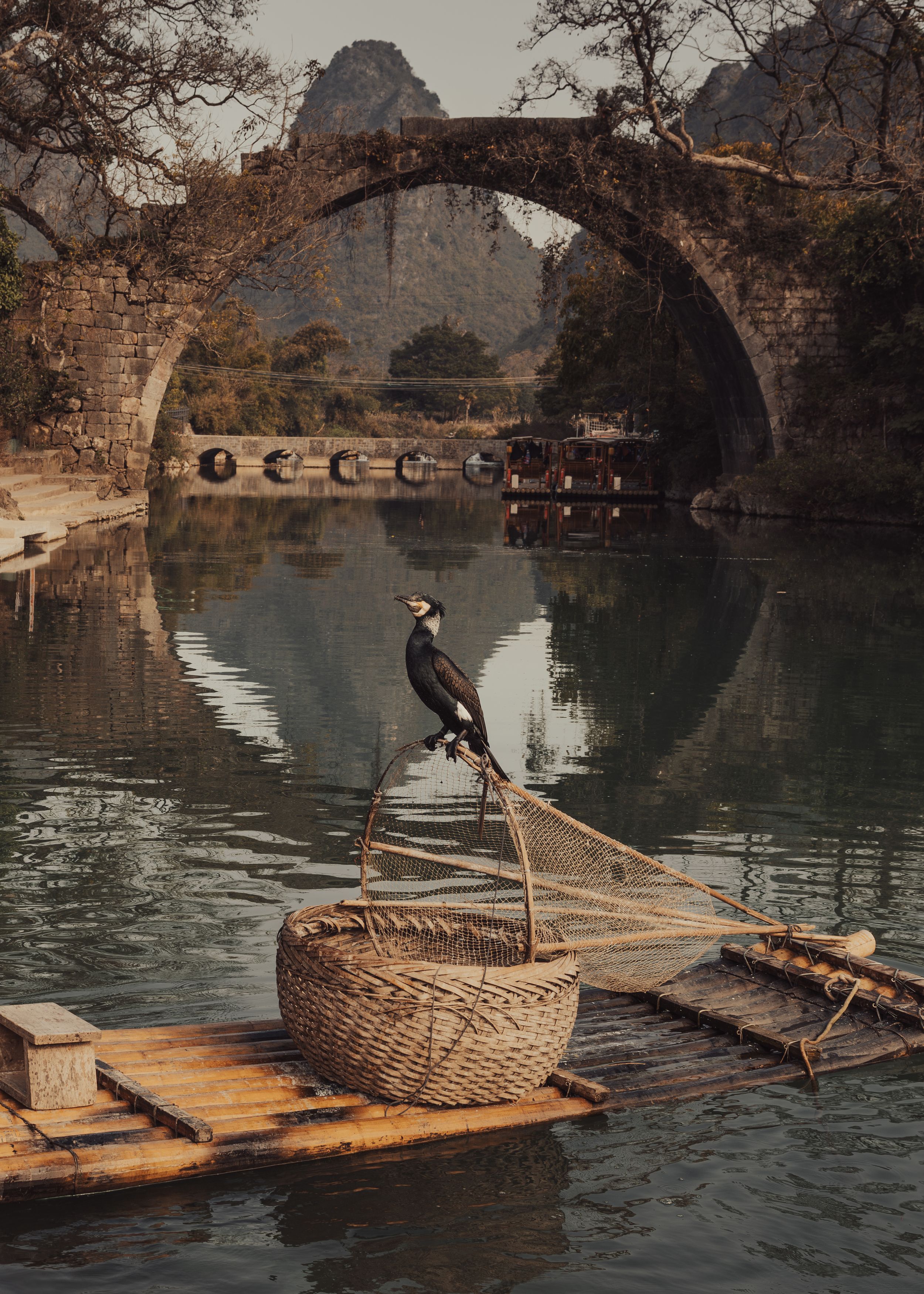 Photograph by Ольга Мисько