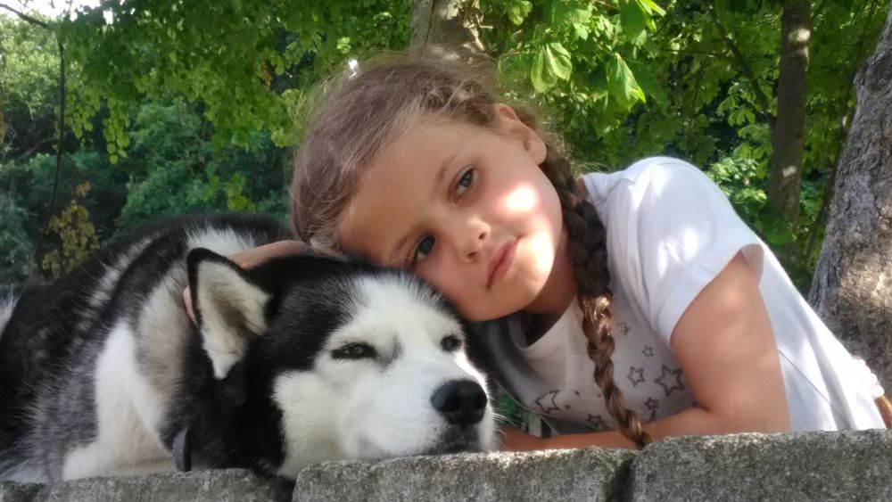 Подарите мне собаку