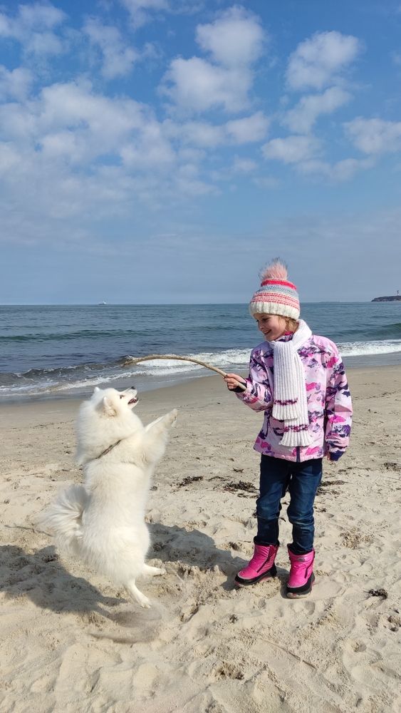 Маленькая дрессировщица