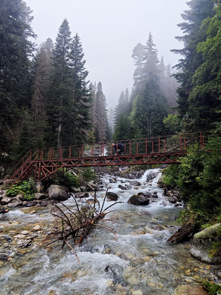 Photo #13285929